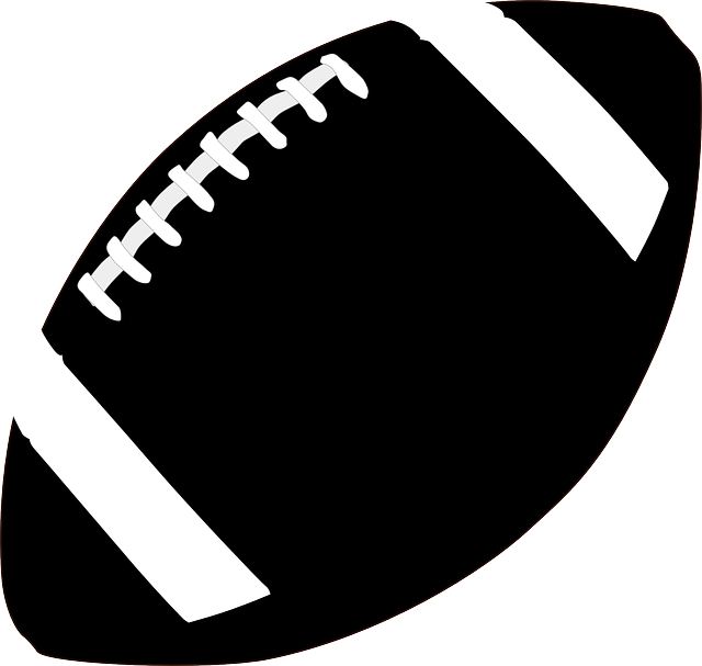 Wilson American Football PNG Image Background