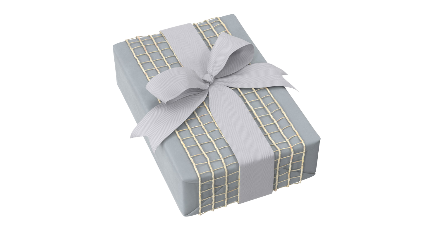 Wrapped Christmas Gift PNG Pic