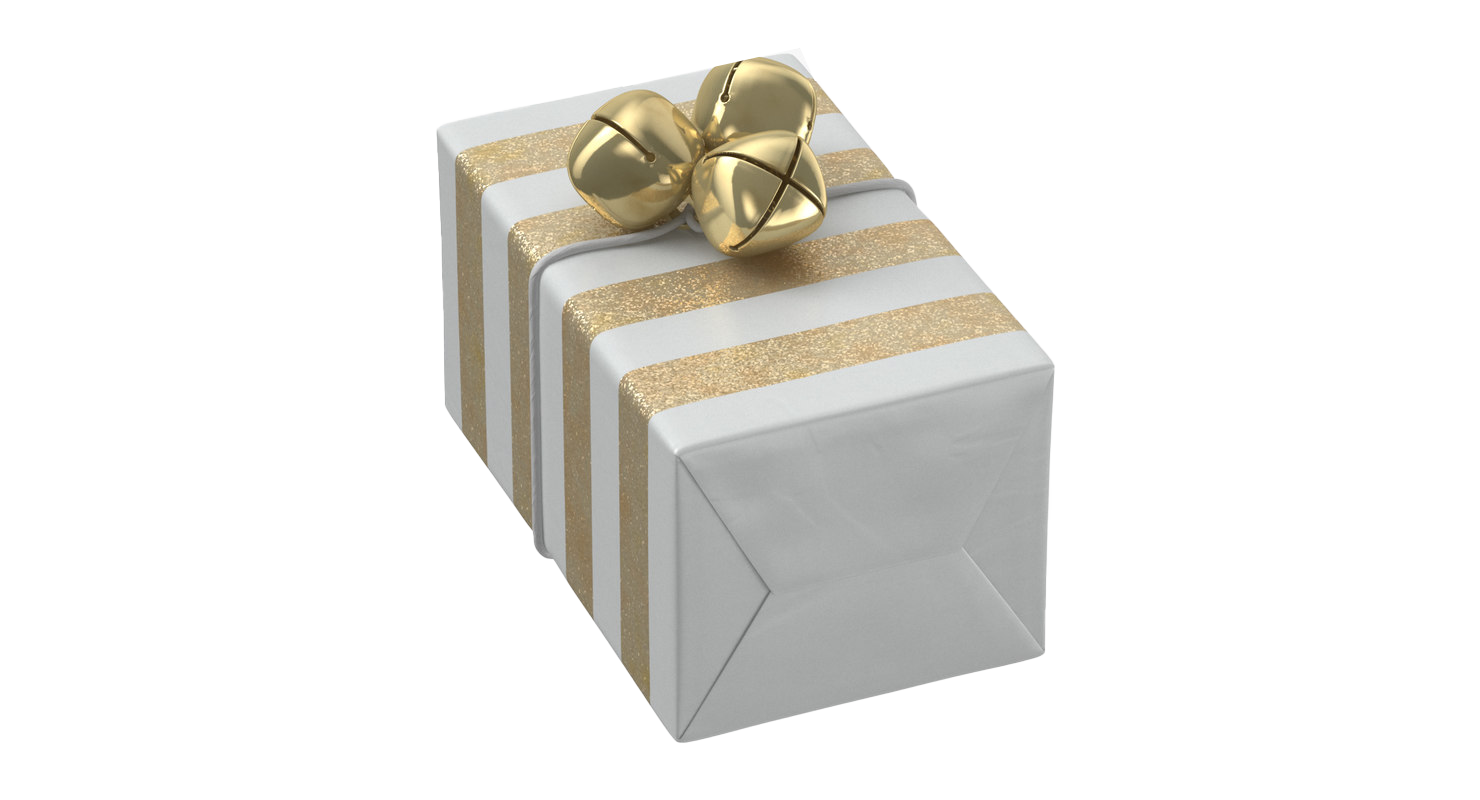 Wrapped Christmas Gift PNG-Afbeelding