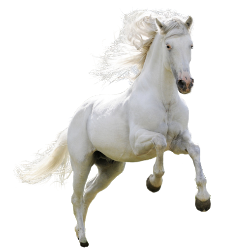 American Running Horse Download PNG Image