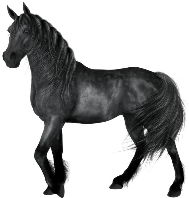 American Running Horse PNG Download Image