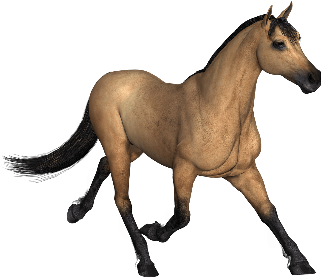 American Running Horse PNG High-Quality Image