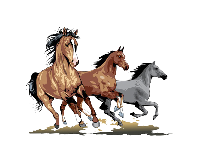 American Running Horse PNG Image Transparent Background