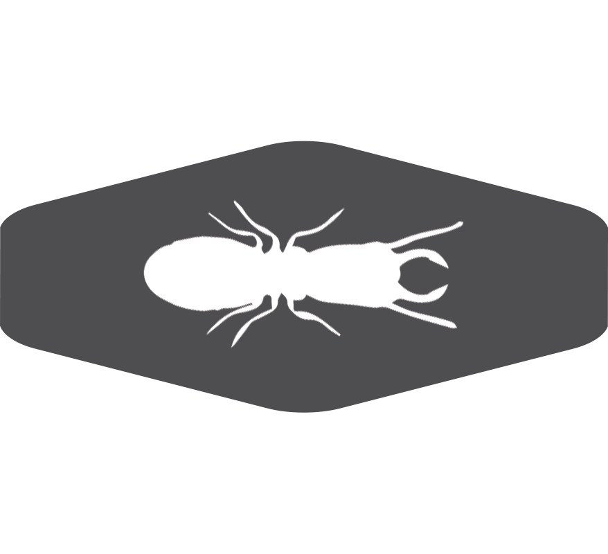 Semut rayap PNG unduh Gambar