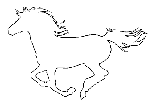 Arabian White Horse PNG Background Image