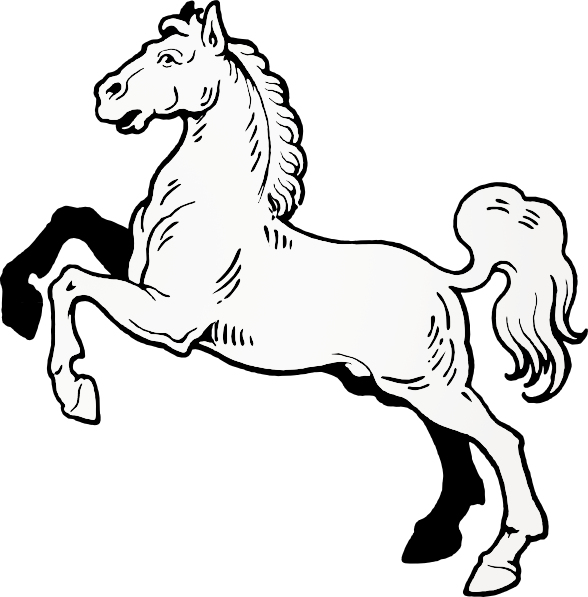 Arabian White Horse PNG Image