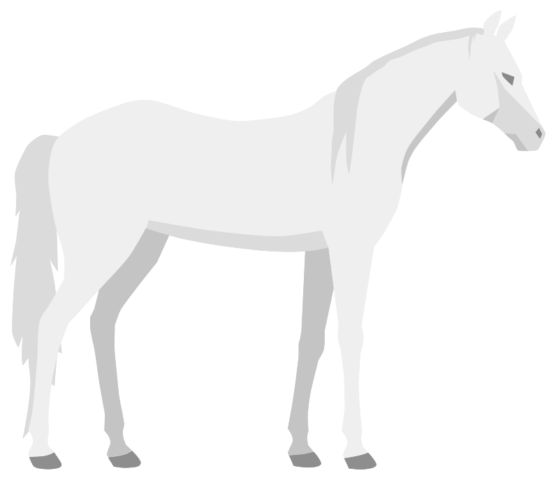 Pic PNG kuda putih arab