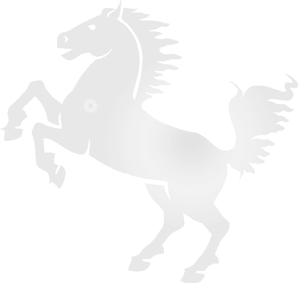 Arabian White Horse Transparent Background PNG