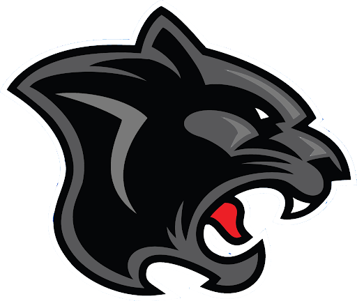 Schwarzer Panther-PNG-transparenter Hintergrund