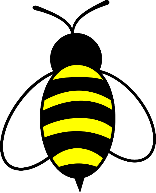 Bumble Bee Trail PNG Image Free Download