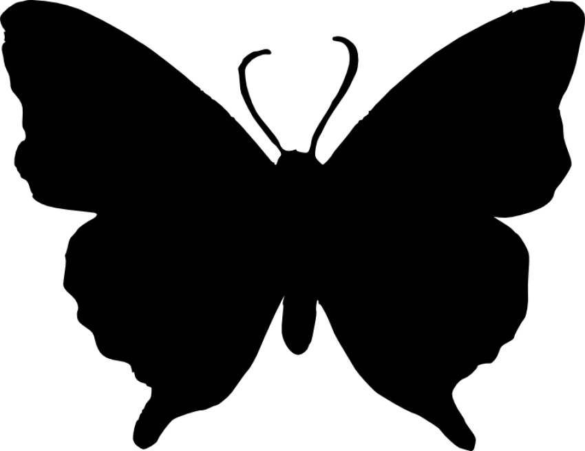 Dark Black Butterfly PNG Background Photo