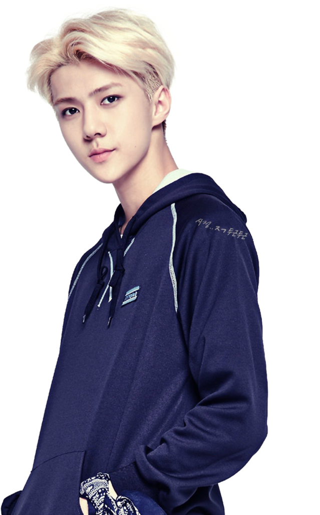 EXO Band PNG High-Quality Image