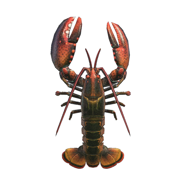 Juvenile American Lobster PNG Download Image
