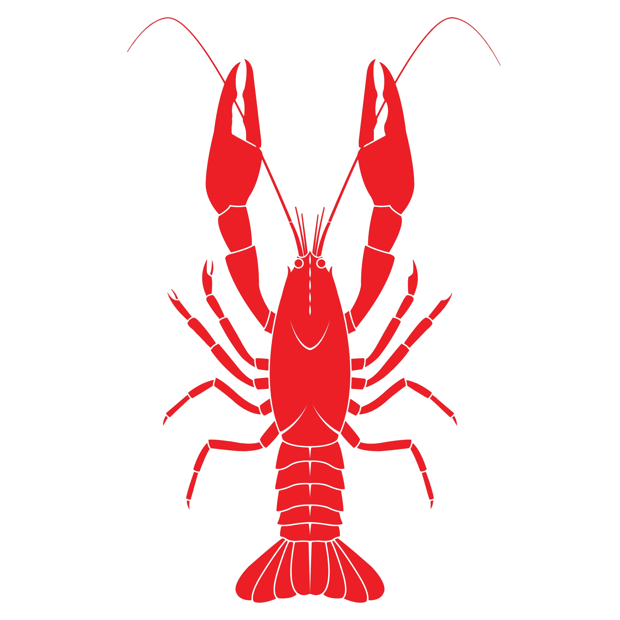 Juvenile American Lobster PNG Image Transparent Background