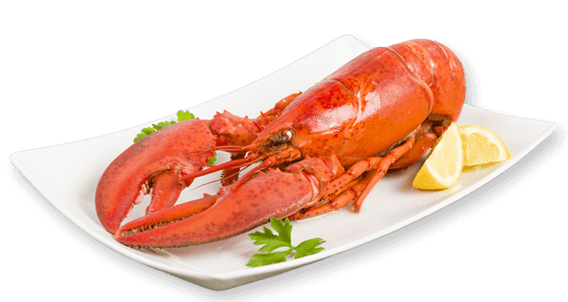 Juvenile American Lobster PNG Pic