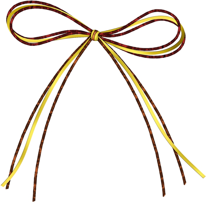IMMAGINE Trasparente PNG POLYSTER SHOELACES PNG