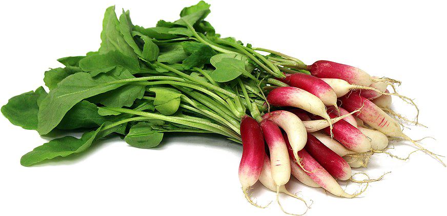 Image Transparente légumes radis