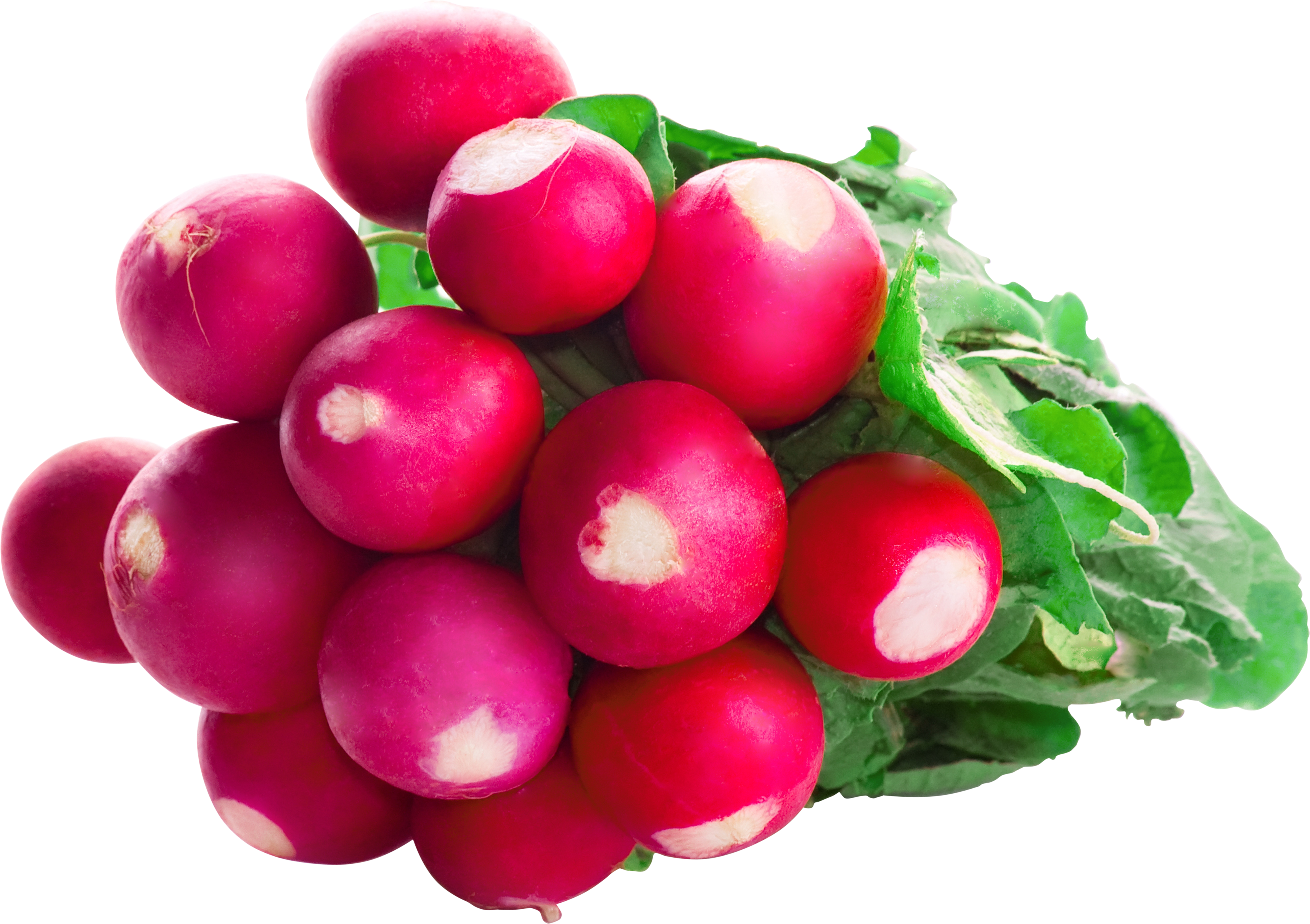 Red Radish PNG-Afbeelding Transparant