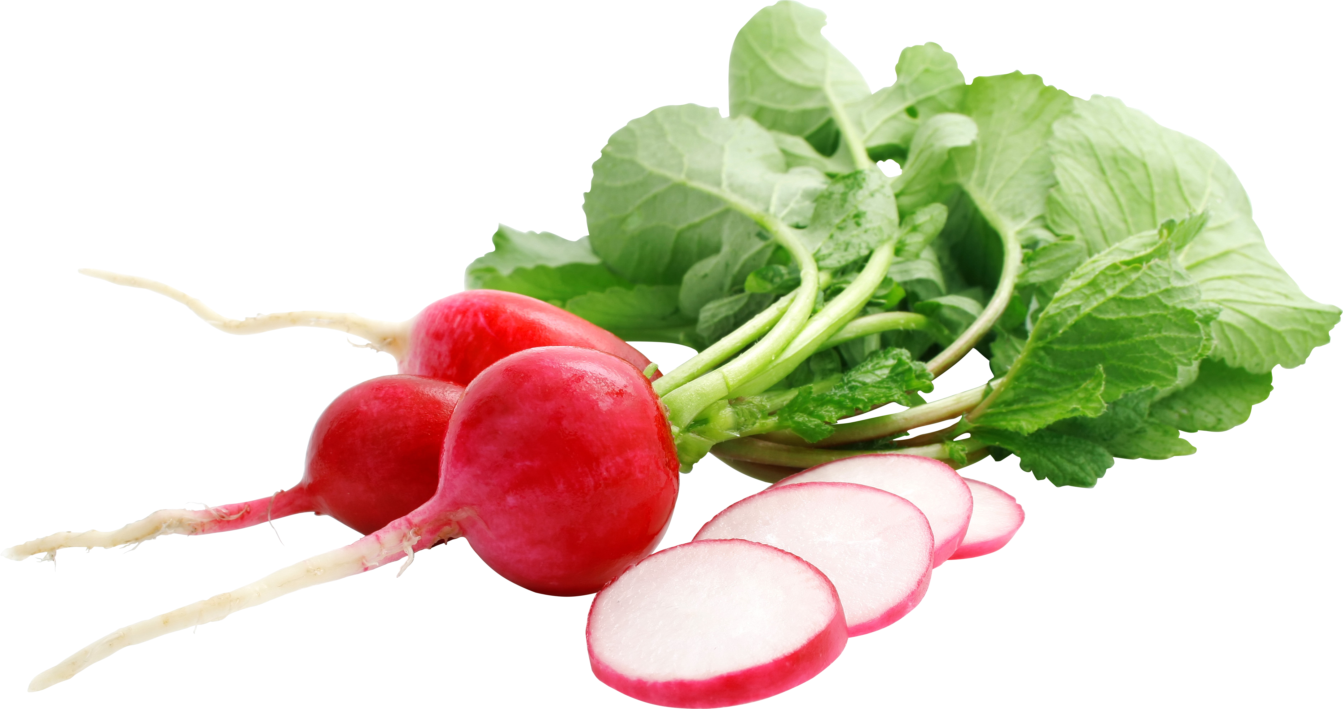 Red Radish PNG-Afbeelding