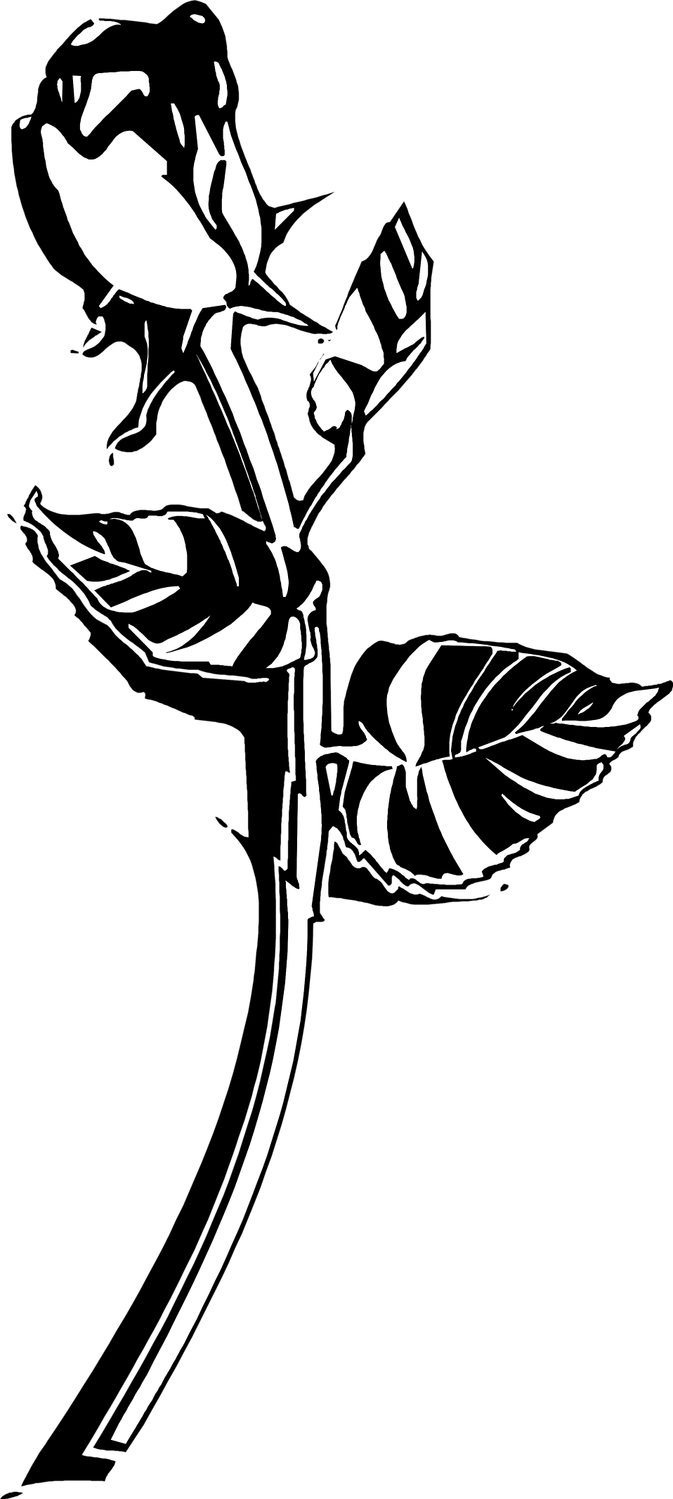 Vector zwart en wit roos PNG Download Afbeelding