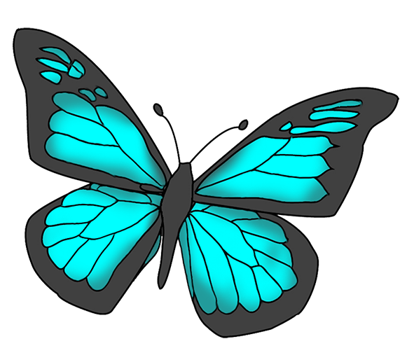 Vector Black Butterfly PNG Background Photo