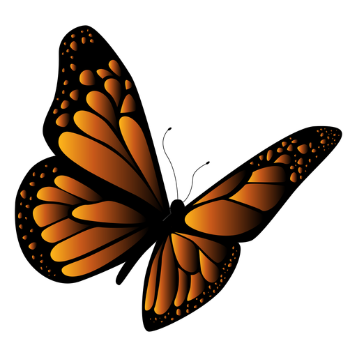 Vector Black Butterfly PNG Image HD