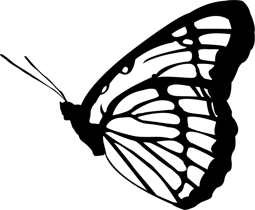 Imagen de vector negro mariposa PNG imagen