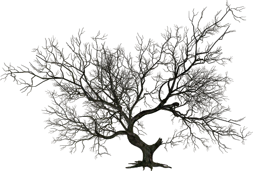 Vektor black tree PNG foto latar belakang