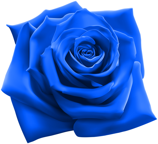 Vector Blue Flowers PNG Transparent