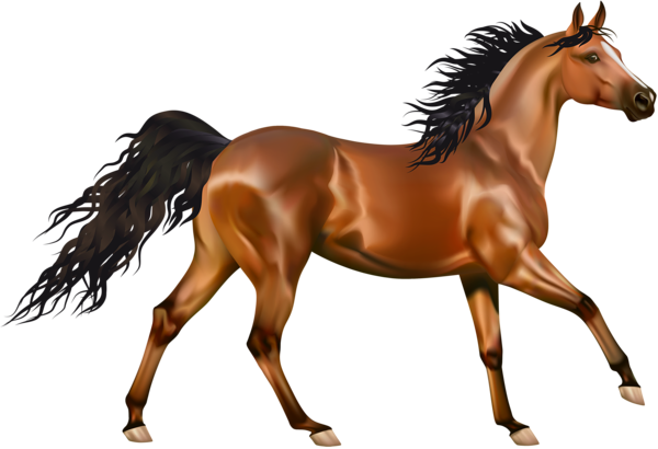Vector Running Horse PNG Pic